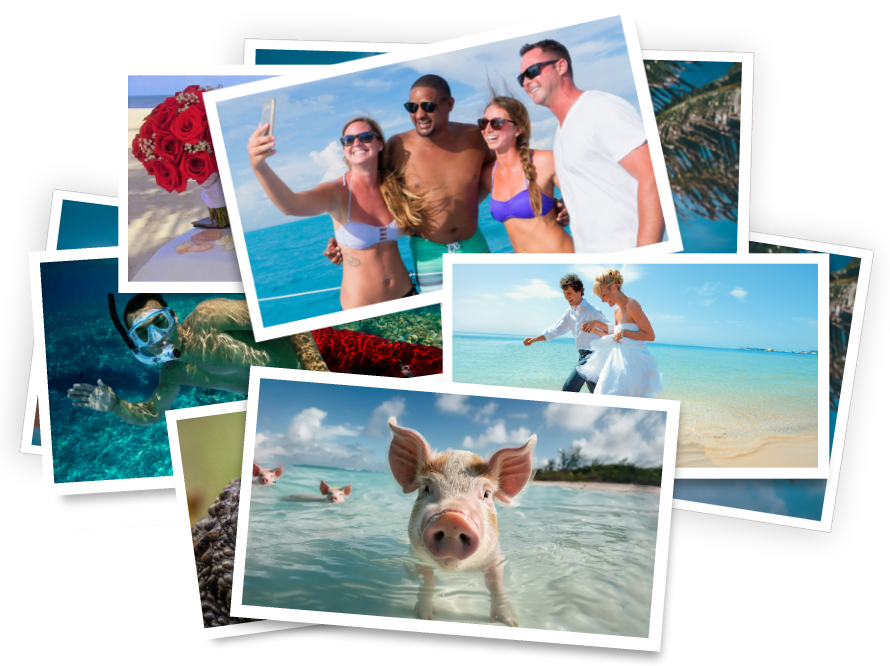 compilation of pictures